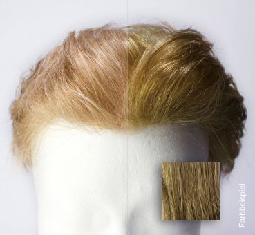 Swiss Lace Toupet - Farbwahl Sofortprogramm | #18 Blond 